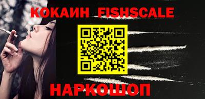 индика Будённовск