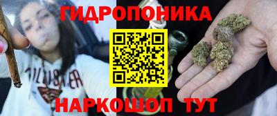 индика Будённовск